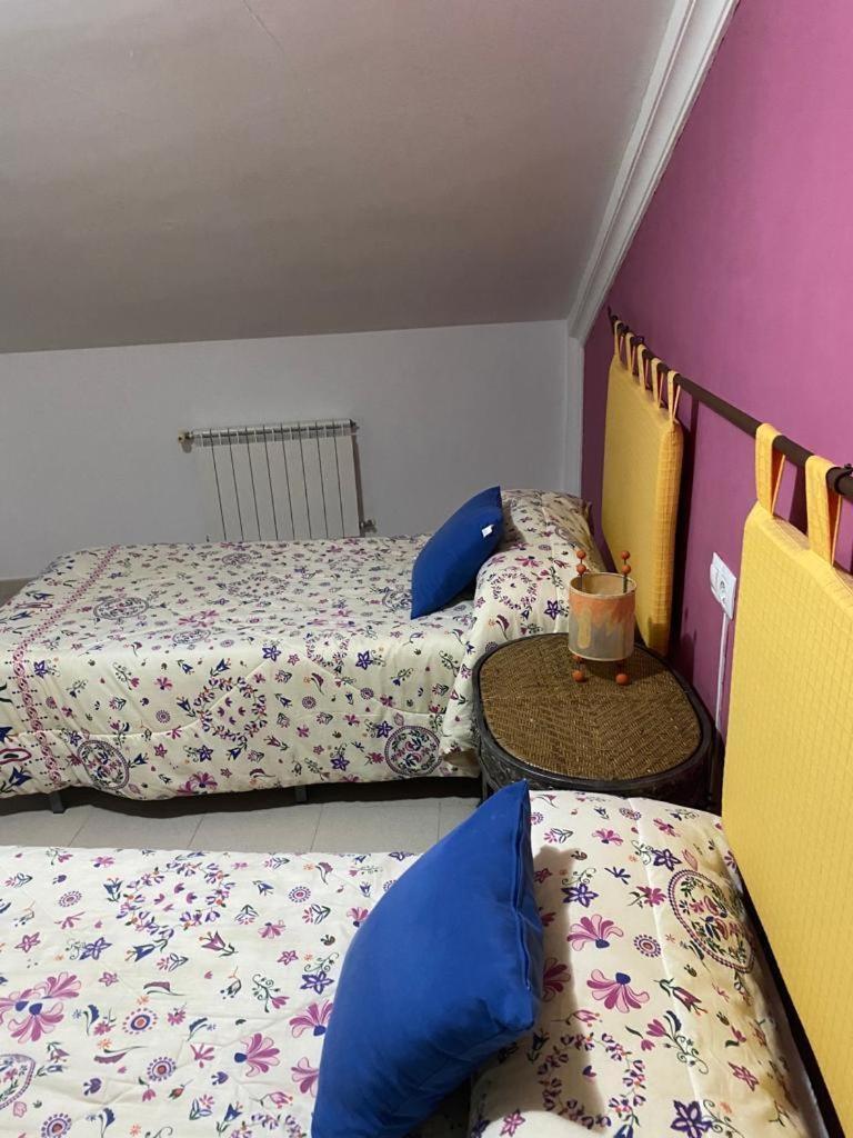 Hostal Y Apartamentos La Vereda ルイデラ エクステリア 写真