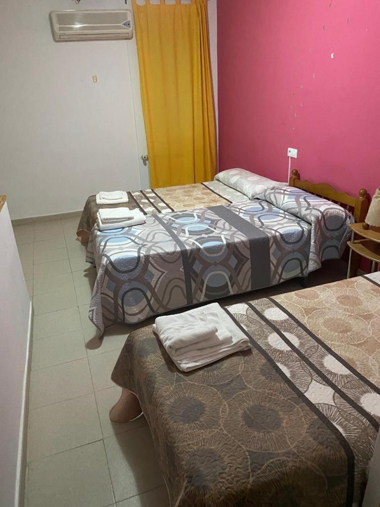 Hostal Y Apartamentos La Vereda ルイデラ エクステリア 写真