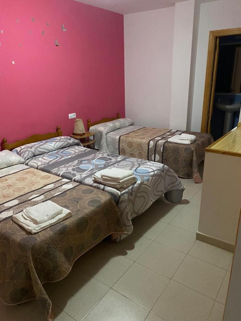 Hostal Y Apartamentos La Vereda ルイデラ エクステリア 写真